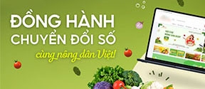 Nong san Online
