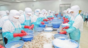 Thương mại Việt - Nga sẽ tăng trưởng mạnh
