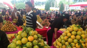 Hoà Bình: Lễ hội cam Cao Phong tiêu thụ 30 tấn cam trong ngày đầu tiên