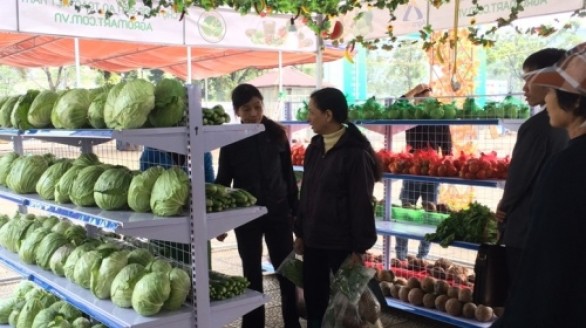 Chợ thương mại điện tử nông lâm thủy sản Việt Nam