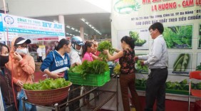 Hội chợ hàng Việt Đà Nẵng 2015: Trên 50 hợp đồng, bản ghi nhớ được ký kết