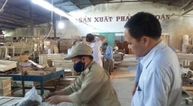 VPA/FLEGT: Rộng đường gỗ Việt vào EU