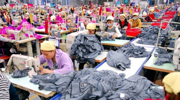 Việt Nam - New Zealand đón đầu cơ hội đầu tư, mở rộng kinh doanh