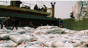 Gạo xuất khẩu: Mở thêm thị trường châu Phi
