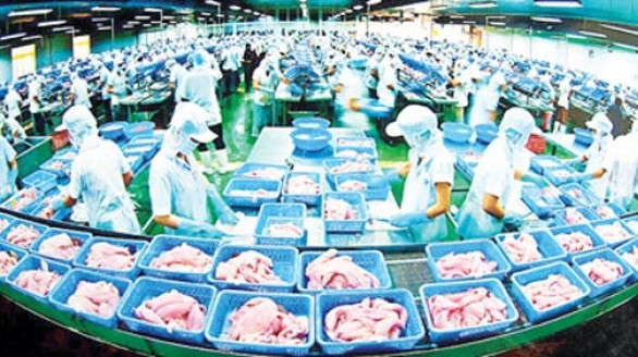 Việt Nam có 23 cơ sở cá tra đủ điều kiện vào Mỹ