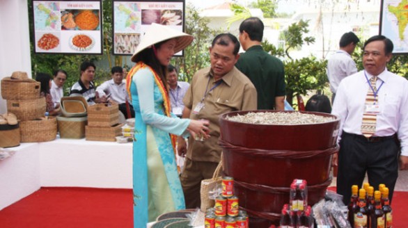 Doanh nghiệp Việt sang Campuchia trồng lúa để… xuất khẩu