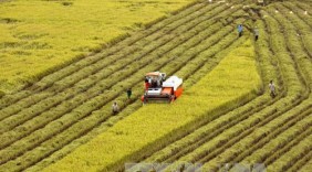 Nông nghiệp Việt Nam sẽ được hưởng lợi từ TPP