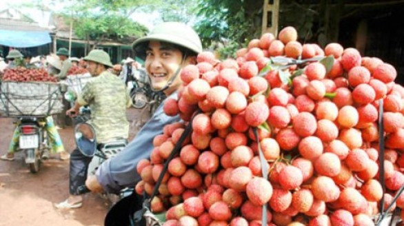 Hà Nội và Bắc Giang hợp tác tiêu thụ hàng hóa, nông sản