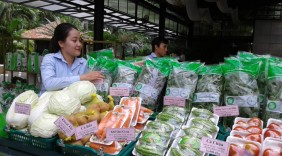 TP. Hồ Chí Minh: Kết nối đưa thực phẩm an toàn vào bếp ăn trường học