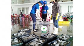 Saigon Co.op đẩy mạnh thu mua hải sản an toàn cho ngư dân Miền Trung