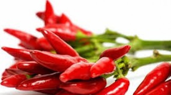 Cơ hội cho các doanh nghiệp xuất khẩu ớt của Việt Nam