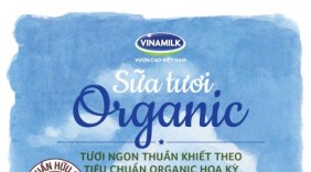 Việt Nam sản xuất được sữa tươi organic tiêu chuẩn USDA Hoa kỳ