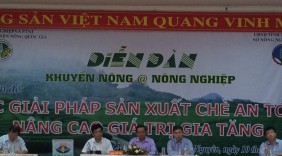 Sản xuất VietGAP: Nâng cao giá trị chè Việt