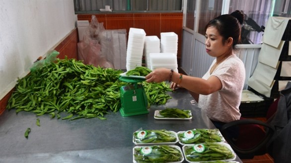 Nông sản Đà Lạt buộc phải gắn nhãn mác