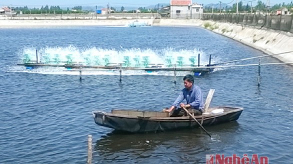 Nghệ An: Đẩy mạnh nuôi trồng thủy sản an toàn