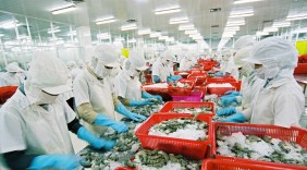 Việt Nam và Mỹ ký thỏa thuận về chống bán phá giá tôm