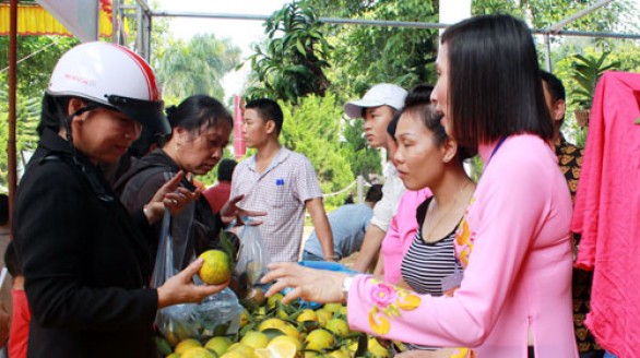 Quảng bá trái cây chất lượng của đất xứ Mường