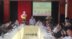 Hà Nội hợp tác với Quảng Ninh, Lâm Đồng tiêu thụ nông sản an toàn