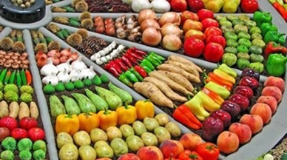 18-23/4/2017: Mời tham gia Hội chợ Nông nghiệp Siam lần thứ 12 tại TP Meknès