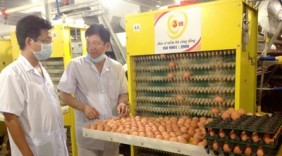 Công ty Ba Huân mở rộng đầu tư sản xuất tại Hà Nội và Long An