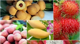 Bổ sung vitamin C như thế nào cho đúng?