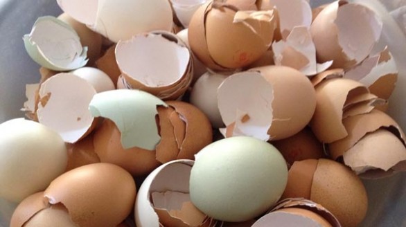 8 tác dụng bất ngờ của vỏ trứng