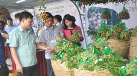 Giao thương tiêu thụ nông sản thực phẩm Hà Nội - Lâm Đồng: Tiếng nói người trong cuộc