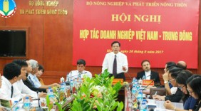 Trung Đông - Tiềm năng cho nông sản Việt còn lớn