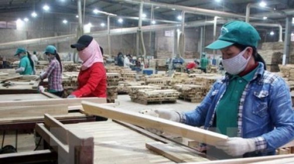 Xuất khẩu gỗ tăng cao nhờ mặt hàng mới và thị trường mới