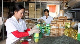 Tăng sức cạnh tranh và giá bán cho chè Việt