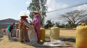 Mở đường cho nông sản Việt vào thị trường Trung Đông