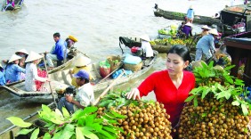 Điểm sáng thị trường xuất khẩu mặt hàng chủ lực của Việt Nam