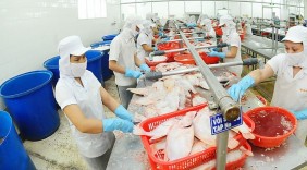 Doanh nghiệp Việt dấn sâu vào thị trường Châu Âu