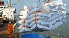 Cơ hội xuất khẩu 500.000 tấn gạo sang Indonesia