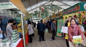 Nghệ An tiêu thụ gần 60 tấn cam tại Hội chợ cam Vinh - Nghệ An 2017