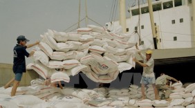 Indonesia có kế hoạch nhập khẩu gạo chất lượng cao của Việt Nam