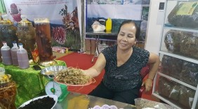 Quảng Nam: tổ chức phiên chợ sâm Ngọc Linh