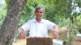 Làm giàu từ nghề nuôi ong lấy mật