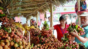 Bộ Công Thương: Tích cực hỗ trợ doanh nghiệp xúc tiến hàng Việt