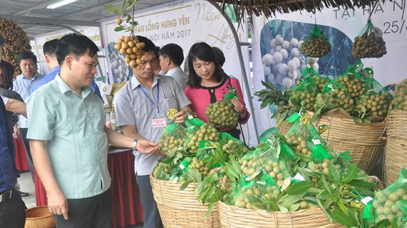 Kết nối cung - cầu: Giải pháp tiêu thụ nông sản hiệu quả