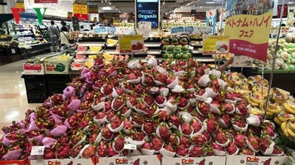Hàng Việt Nam được tiêu thụ mạnh tại hệ thống siêu thị AEON (Nhật Bản)