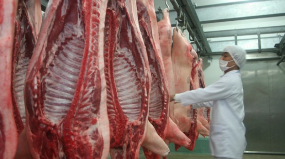 Lần đầu Việt Nam xuất khẩu thịt heo tươi