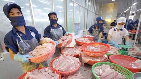 Đơn đặt hàng xuất khẩu của Việt Nam tăng kỷ lục
