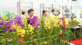 Đà Nẵng tổ chức Triển lãm Nông nghiệp quốc tế lần thứ 18 - Agroviet 2018