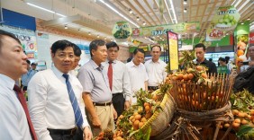 Quảng bá tiêu thụ vải thiều tại TP HCM
