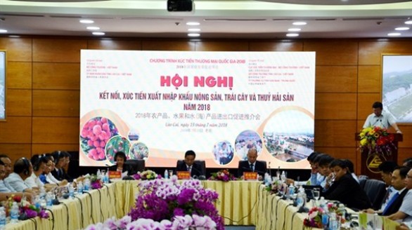 Việt Nam - Trung Quốc xúc tiến, xuất nhập khẩu nông sản
