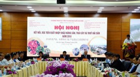 Việt Nam - Trung Quốc xúc tiến, xuất nhập khẩu nông sản