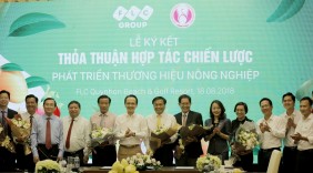 FLC sẽ đưa tên tuổi xoài Cao Lãnh bay xa