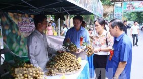 Phiên chợ nhãn lồng Hưng Yên thu hút khách tham quan