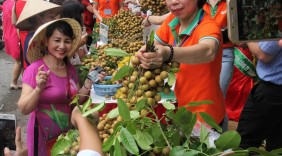 Hapro phối hợp với tỉnh Sơn La tổ chức “Tuần lễ nhãn và nông sản Sơn La năm 2018”